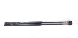 Jaguar XJ (2009–2026) Hood prop/gas strut AW93-16C826-AC - 2