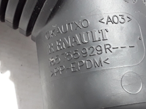 RENAULT Megane IV (2016–2022) Õhu sisselaske voolik 165755929R - 3