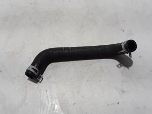 Wasserschlauch Kühler - 213087061R