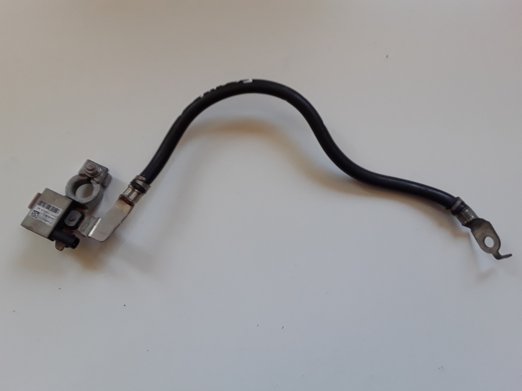 FORD EcoSport 2 generation (2013-2024) Отрицательный кабель аккумулятора F1FT10C679BA 22567170