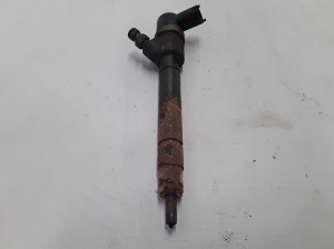   Fuel injector 