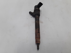   Fuel injector 