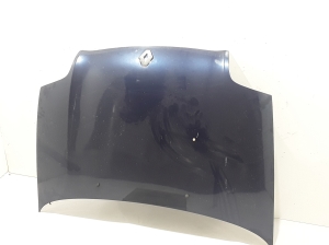 Hood - 651005045R