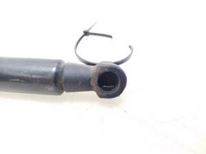 BMW 1 SERIES F20 (2010–2026) Heckklappendämpfer 7239871 - 3