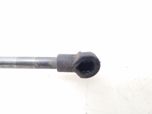 BMW 1 SERIES F20 (2010–2026) Heckklappendämpfer 7239871 - 4