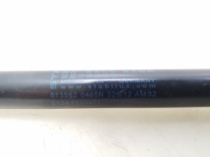 BMW 1 SERIES F20 (2010–2026) Trunk lid strut 7239871 - 2