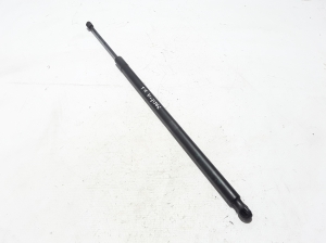   Trunk lid shock absorber 