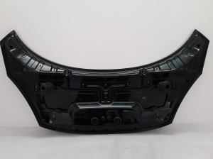 RENAULT Scenic (2009–2015) Motorhaube 651000036R - 4