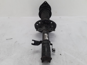 RENAULT Scenic (2009–2015) Stoßdämpfer vorne 543020017R