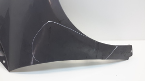 Mercedes Benz A-Class 169 (2004–2012) Front fender A1698810201 - 2