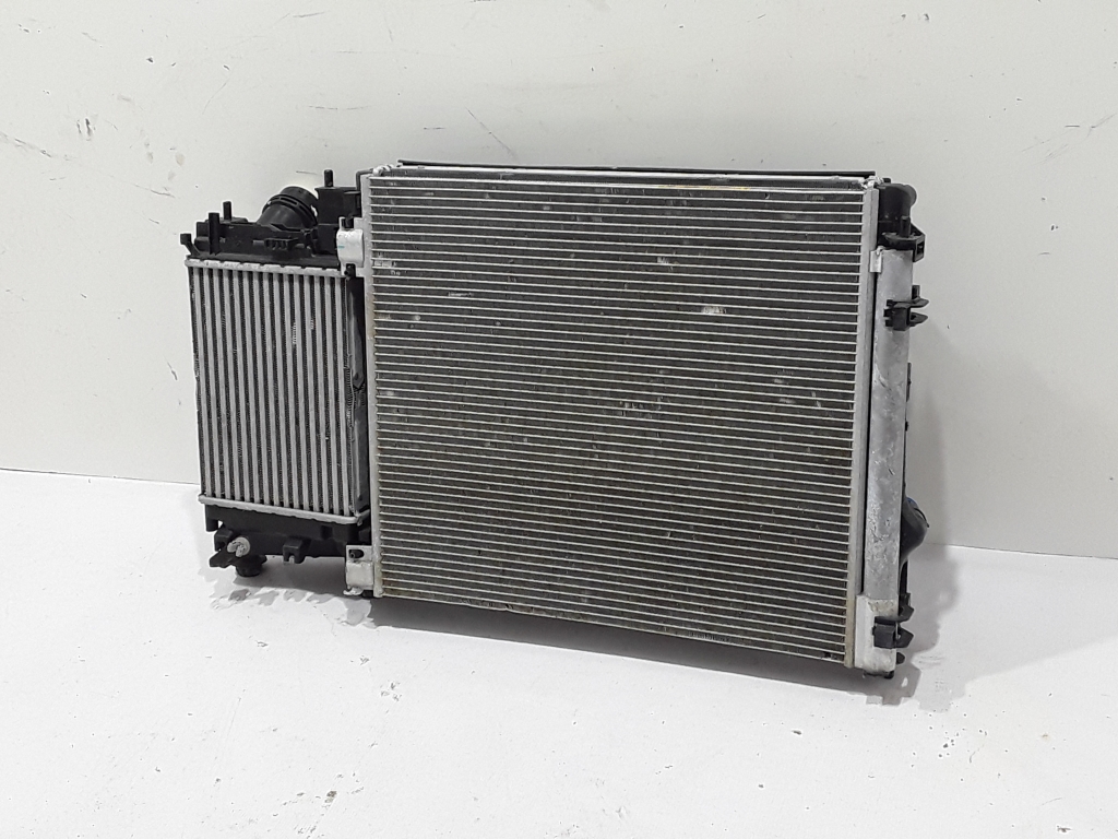 RENAULT Kadjar 1 generation (2015-2024) Aušinimo radiatorių komplektas 22429599