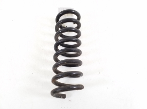   Rear spring 