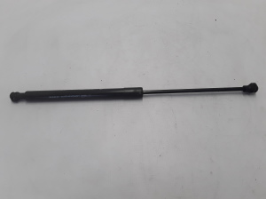 Tagaluugi amortisaator - 904529943R 
