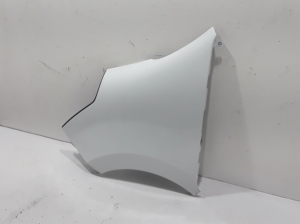 Front fender - 631010504R