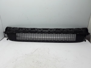  Front bumper lower grille 