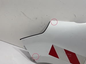 RENAULT Master III (2010–2017) Front fender 631010504R - 4