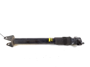 Mercedes Benz ML-Class 164 (2005–2011) Rear shock absorber - 2
