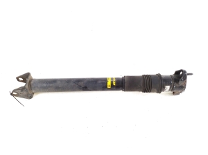   Stoßdämpfer hinten  -  