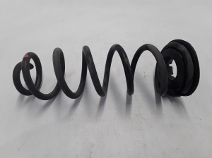 Rear spring - 550202497R 