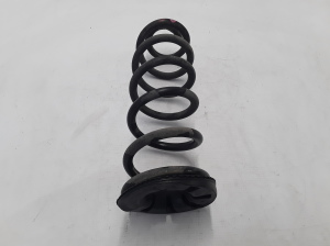Dacia Sandero (2012–2021) Rear spring 550202497R - 2