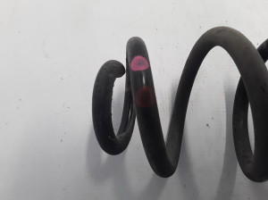 Dacia Sandero (2012–2021) Rear spring 550202497R - 3