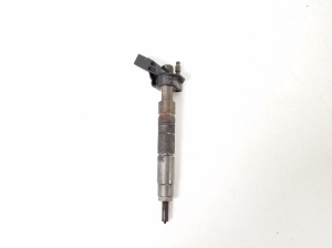   Fuel injector 