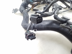 Mercedes Benz E-Class W211 (2002–2009) Motorkabelbaum A6291503033 - 2