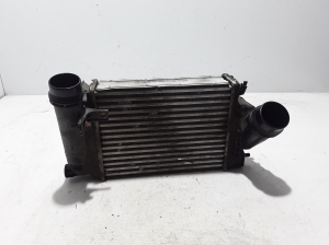 RENAULT Talisman II (2015–2026) Vahejahuti radiaator 144614EB0A - 4