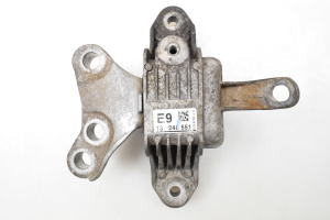 Motora spilvens - 13248551