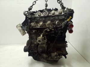 Motor - 10DZ60