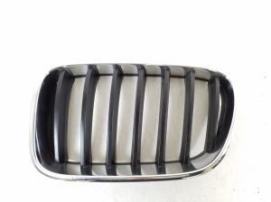 Front grille - 51117237421