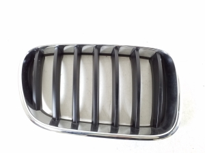 Front grille - 51117237422
