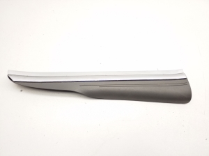   Einstiegsleistenverkleidung  - A2196800735 