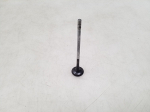  Exhaust valve 