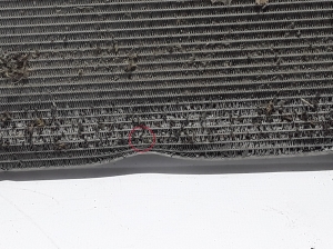 RENAULT Trafic II (2001–2014) Radiateur de refroidissement 8200465488 - 2