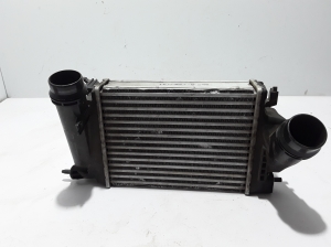 RENAULT Talisman II (2015–2026) Vahejahuti radiaator 144614EB0A - 3