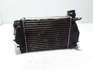 Vahejahuti radiaator - 144614EB0A