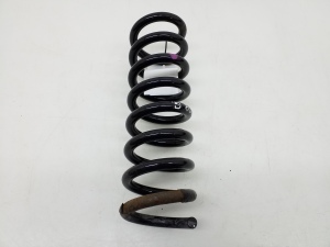   Rear spring 