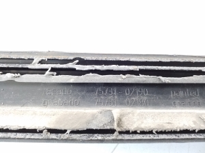 TOYOTA Corolla (2001–2007) Front door molding 75731-02190 - 2