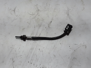 BMW 5 SERIES F07 (2009–2017) Abgastemperatursensor