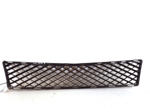  Front bumper lower grille 