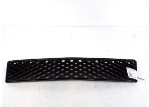  Front bumper lower grille 