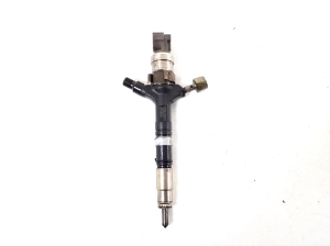   Fuel injector 