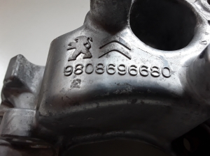 Peugeot 508 (2018–2026) Lichtmaschinenhalter 9808696680 - 2