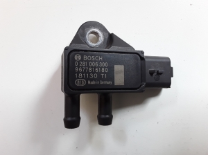   Exhaust gas sensor 