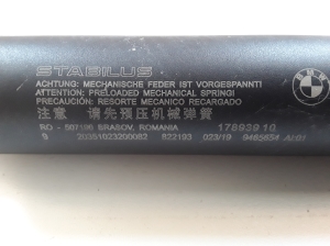 BMW X2 F39 (2017–2026) Heckklappendämpfer 17893910 - 2