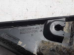 RENAULT Scenic (2016–2026) Mirror triangle trim 802920170R - 2