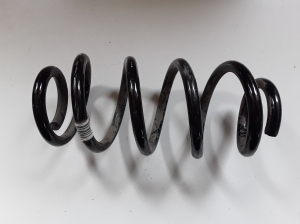 Rear spring - 6871665