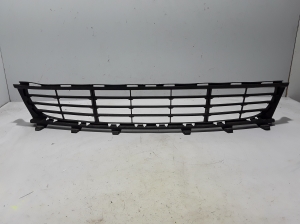   Front bumper lower grille 