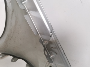 Mercedes Benz A-Class 169 (2004–2012) Front fender A1698810201 - 2